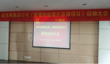墟岗黄集团公司“管理效能提升”咨询项目启动