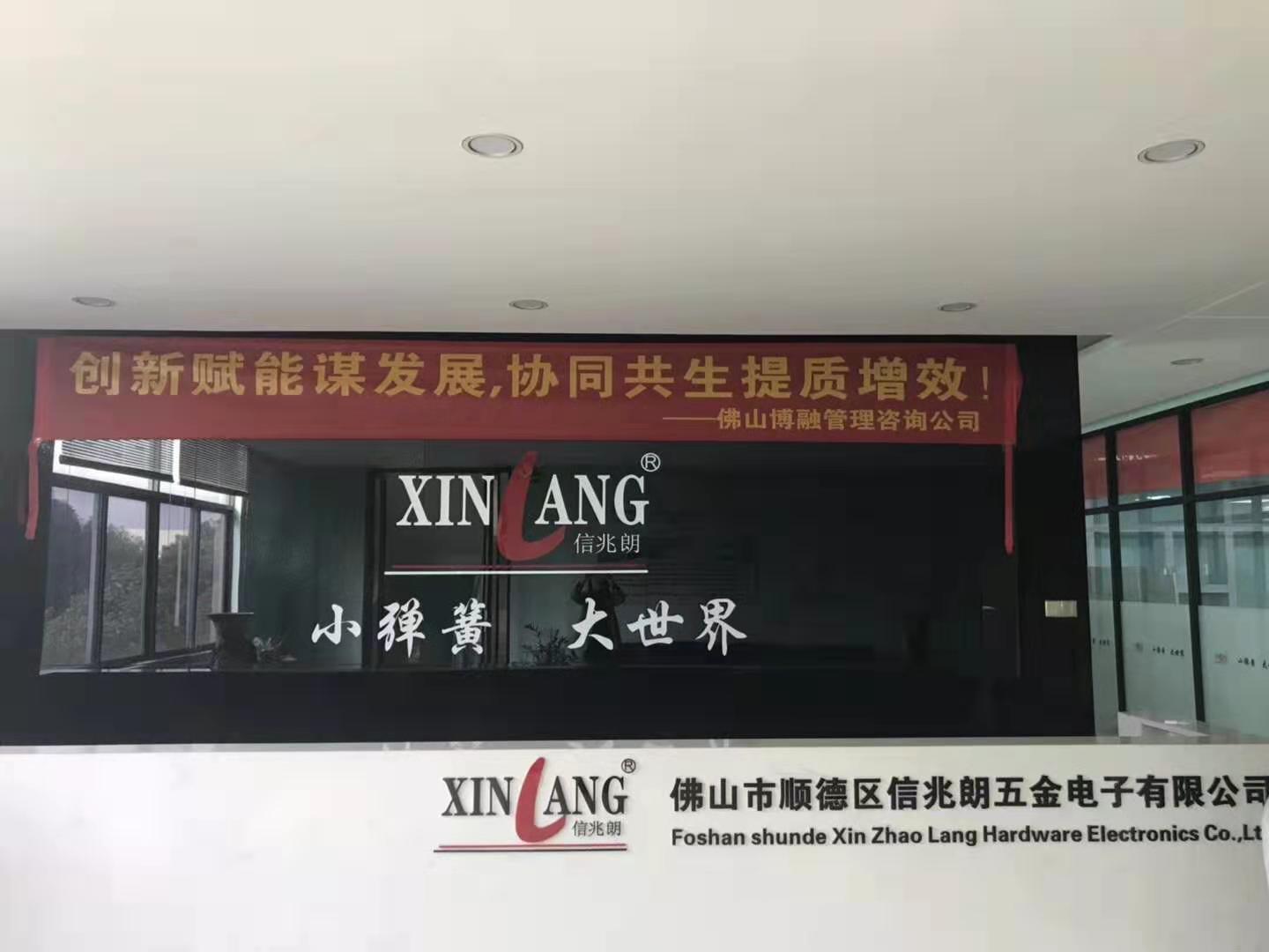 项目总结|效能提升变革助推信兆朗逆势增长
