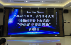 独角兽孵化与上市培育